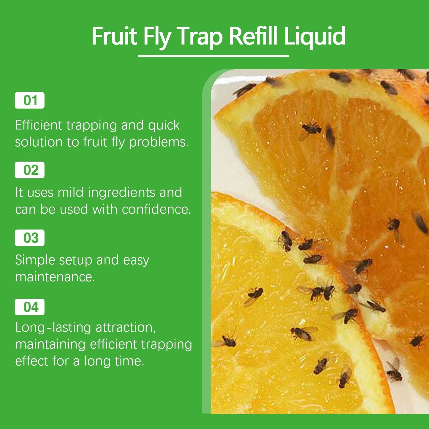 Roach Trap Bait Refill 2-Pack